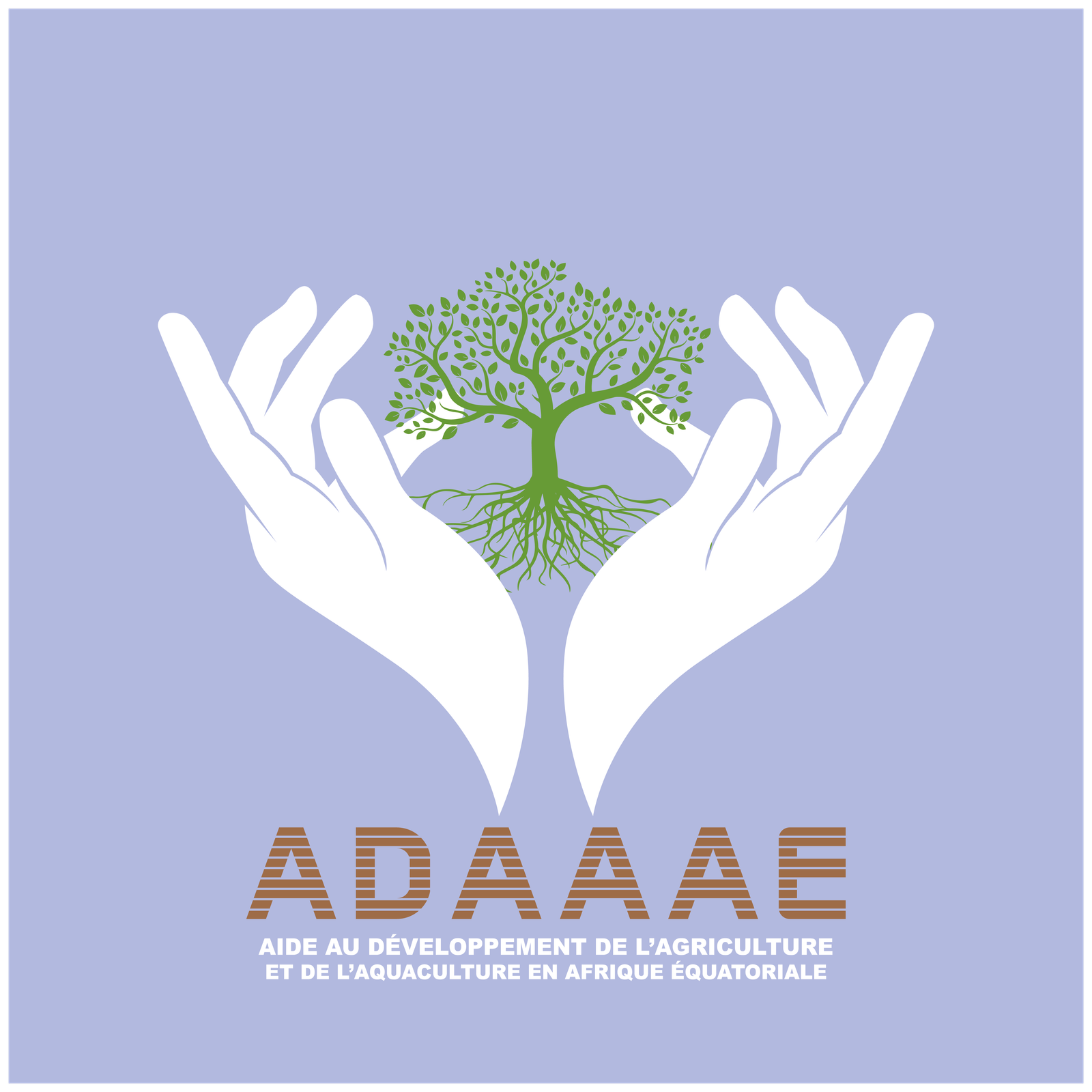 ADAAAE Logo